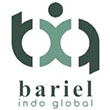 website-bariel-indo-global