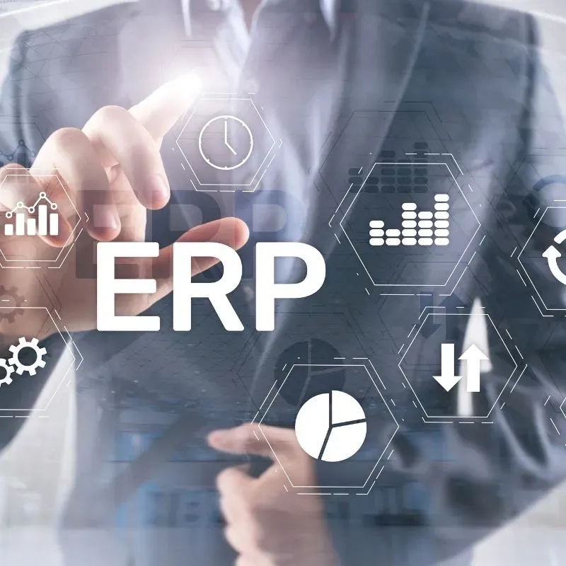 jasa custom erp professional
