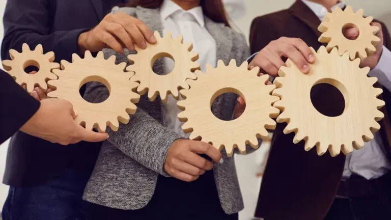 Jasa Custom Web dan Software untuk Membangun Sistem Internal yang Efisien